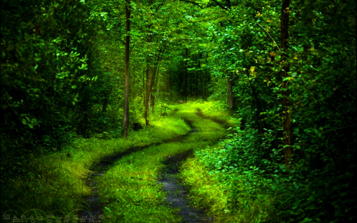 Sustainable Finance Development Roadmap - Poland Starts to Work on its Own Green Path