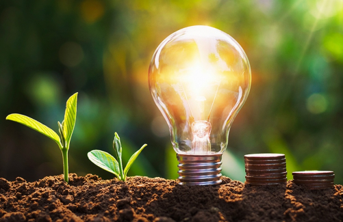 GrEnFIn Summer School